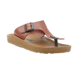 Aerowalk Men Dark Tan T-Shape Slipper with Buckle Styling (KC28_DK.TAN)