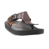 Aerowalk Men Brown & Tan T-Shape Slipper with Buckle Styling (KC28_BROWN+TAN)